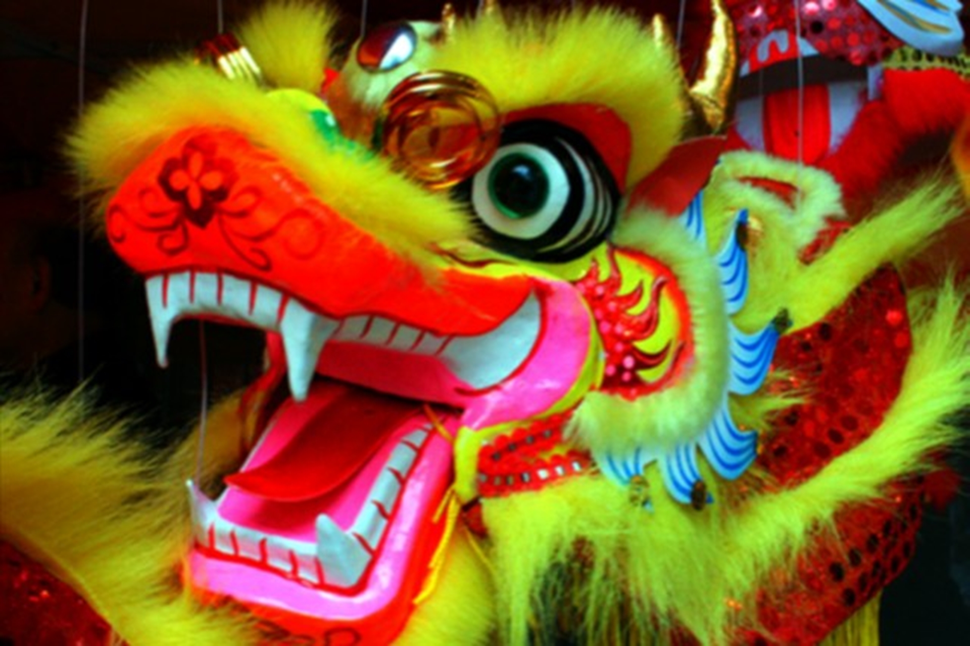 Chinese New Year 2012 Dragon Image